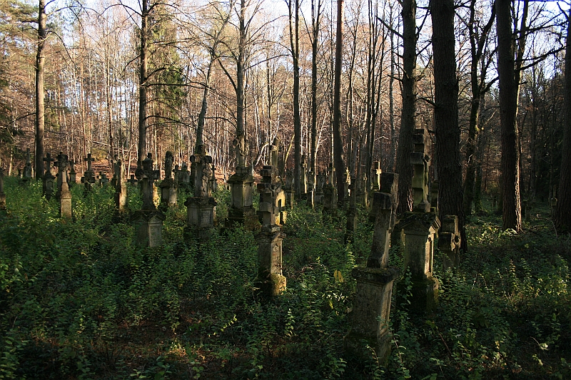 Rostoczek 11.2008 395
